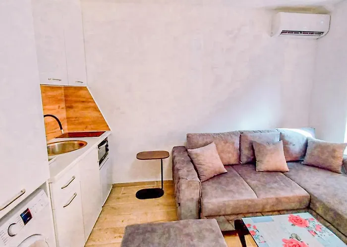 Lazar アパート トレビニエ