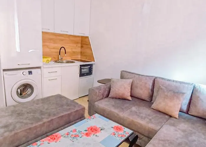 Lazar アパート トレビニエ